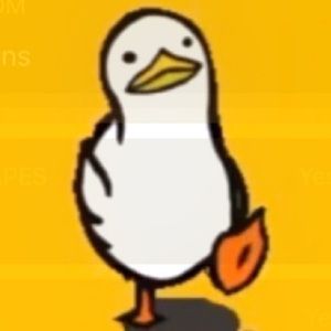 Meet your Posher, Rodrigo